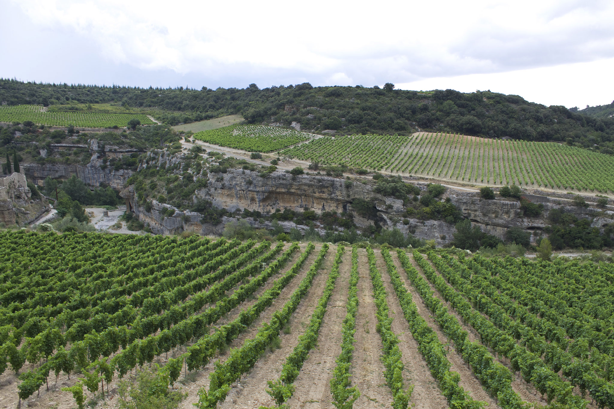 Minerve